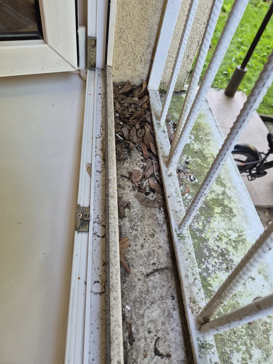 Zewnętrzny parapet z liśćmi i nalotem – przed czyszczeniem